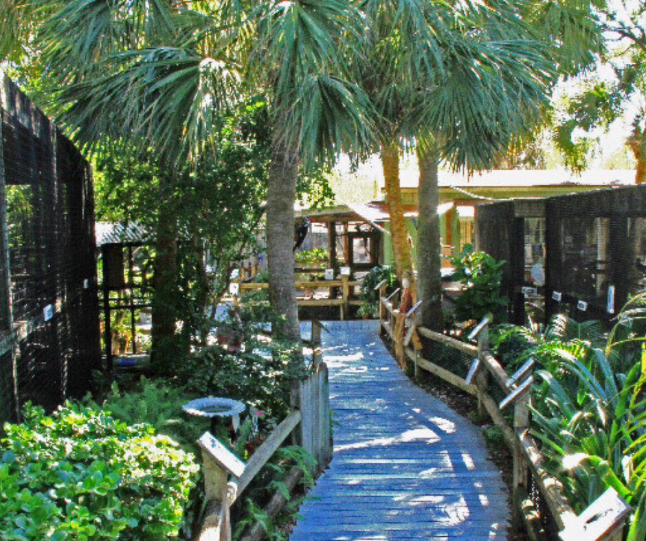 Peace River Wildlife Center